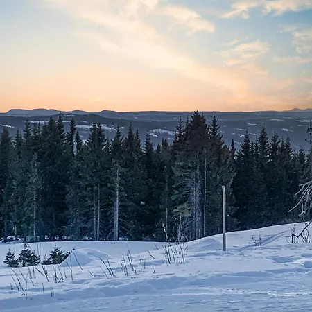 Stunning In With Sauna Øyer