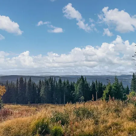 Stunning In With Sauna