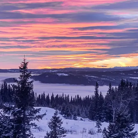 Stunning In With Sauna