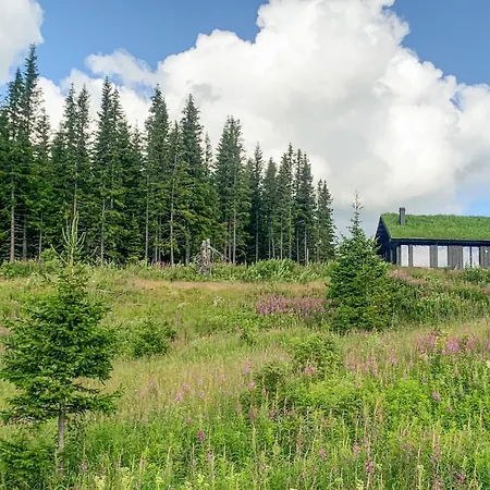 Stunning In With Sauna * Øyer