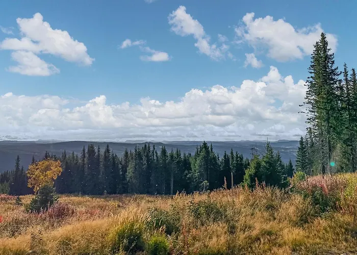 Stunning In With Sauna